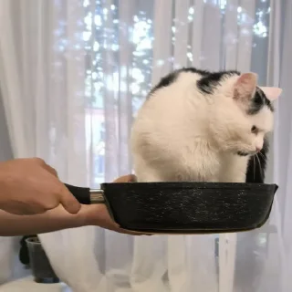 🍳