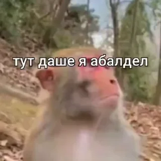 😏