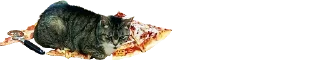 🍕