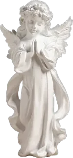 🕊️