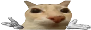 🫲