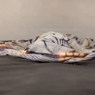 🌟