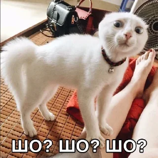 🧐