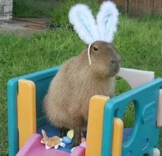 🥰