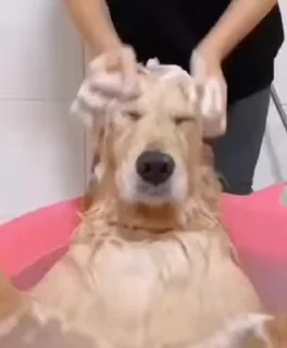 🛀