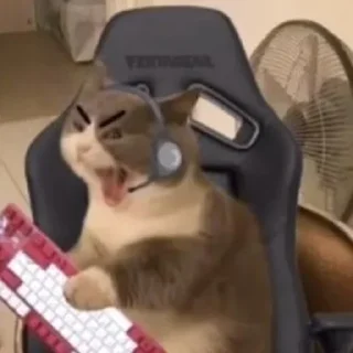 🎮