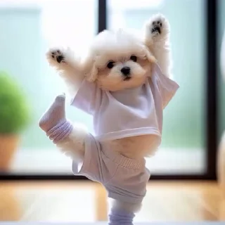 🐶