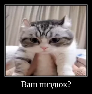 ☺️