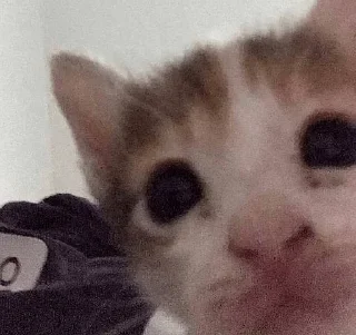 👀