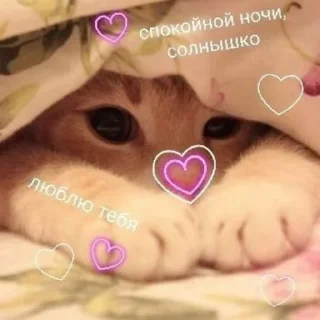 ❤️