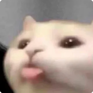 😜