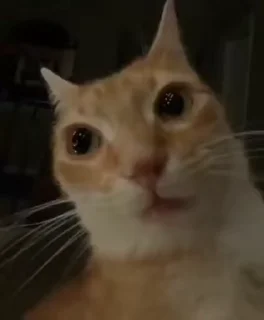 😡