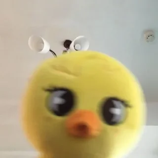 🐣