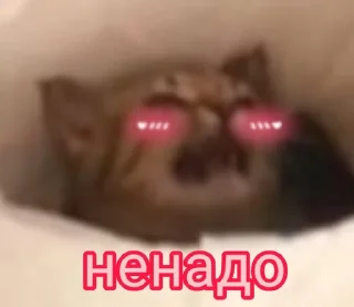 😩