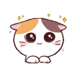 ⭐