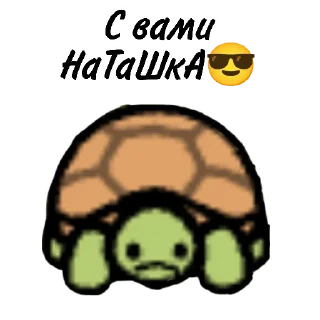 🐢