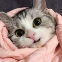 ☺️