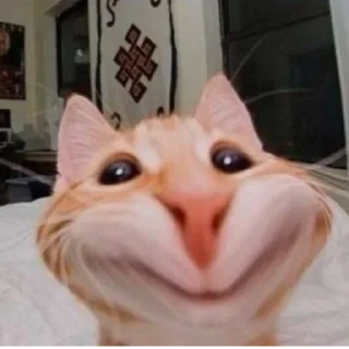 🙂