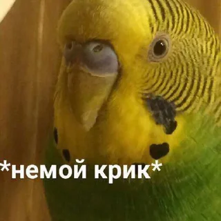 😫