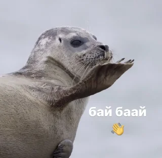 👋