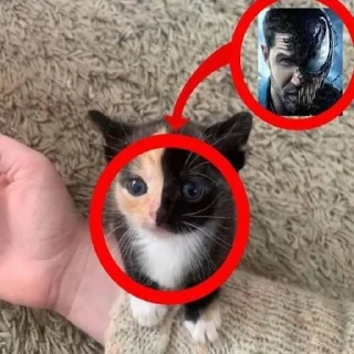 👽