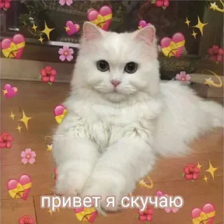 😢