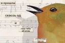 🎼