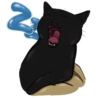 🐈‍⬛