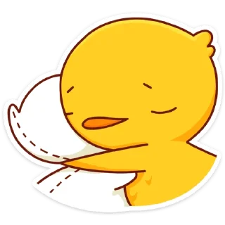 🛌