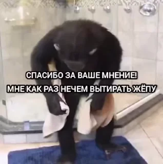 🌟