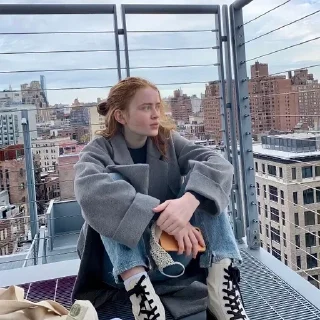 🍪