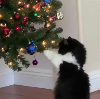 🎅