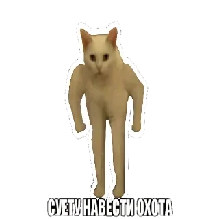 😶