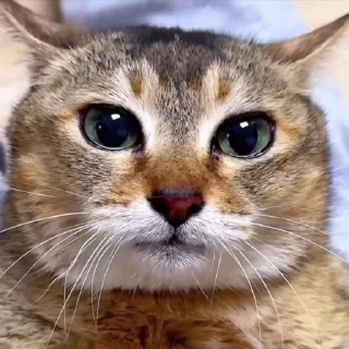 😁