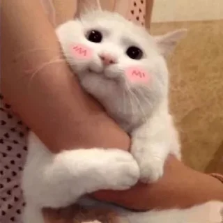 😊