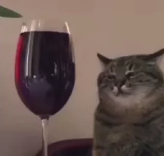 🍷
