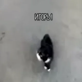 😤