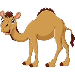 🐪