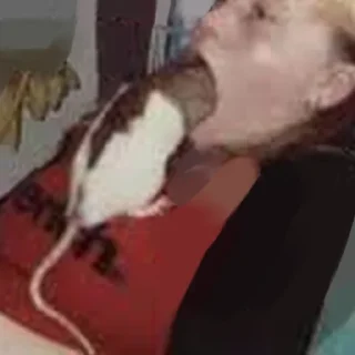 🤥