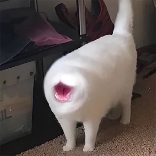 😲
