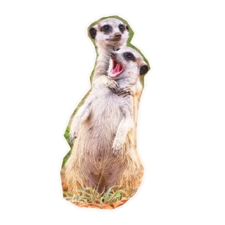 🤘