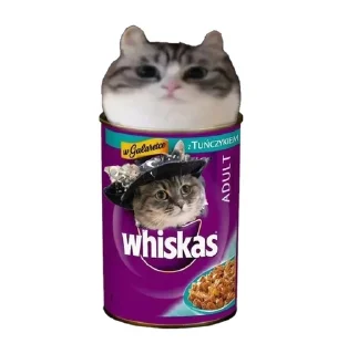 🥫