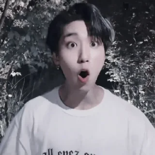 🐿