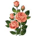 💐