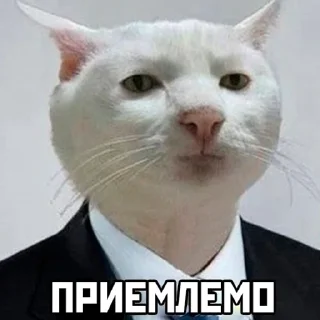 😶