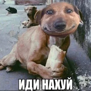 😊