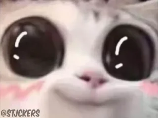🥹