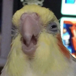 🤨