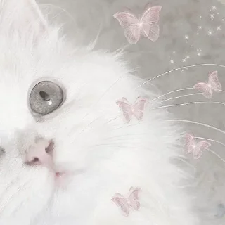 🥺