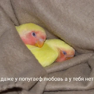 😞